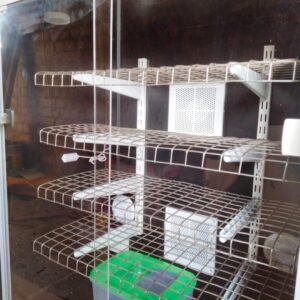 Reptiles Egg Incubator